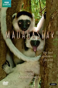 BBC Мадагаскар (2011)