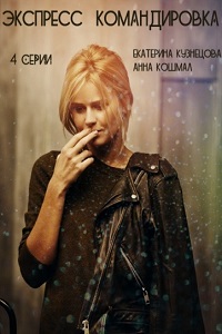 Экспресс-командировка (2016)