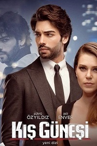 Зимнее солнце (2016)