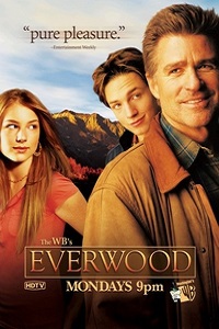 Любовь вдовца 1,2,3,4 Сезон (2006)