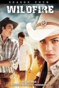Дикий огонь 1,2,3,4 сезон (2008)