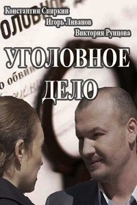 Уголовное дело (2015)