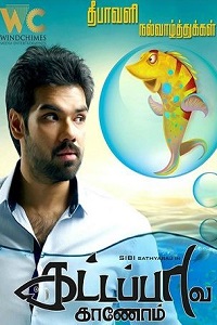 В поисках золотой рыбки (2017)