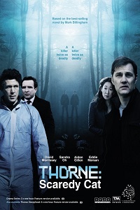 Торн: Пуганая ворона 1 сезон (2010)