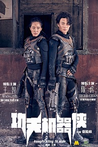 Кунг-фу путешественник (2017)