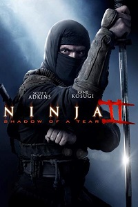 Ниндзя 2 (2013)